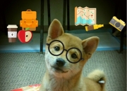 爱游戏官方-战术博弈下的双重奏，加克波持续制造杀伤，法国正面击溃希腊的现代足球启示