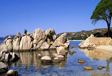 爱游戏APP-德国队绝杀中国队，辛杜惊艳四座