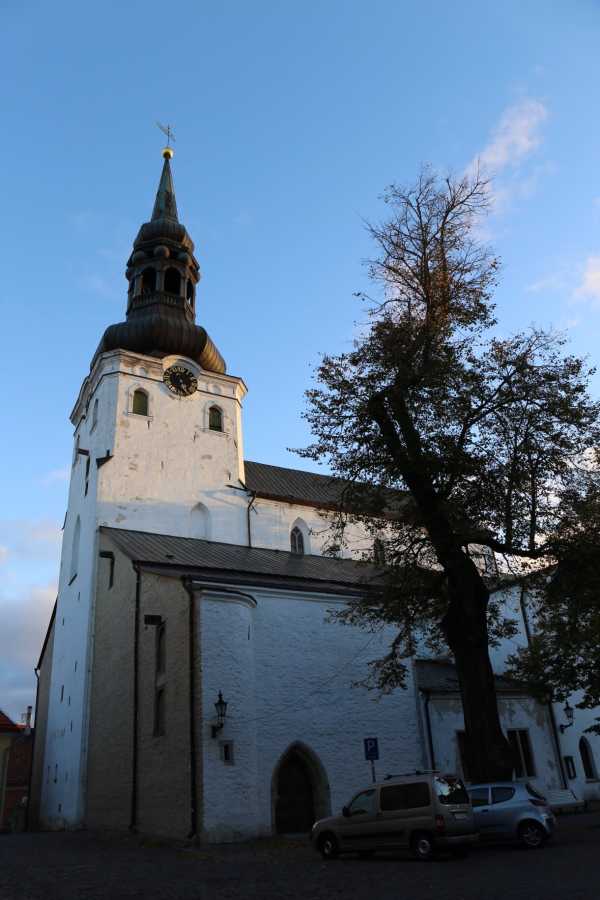 拉脱维亚击败爱沙尼亚夺冠成功 拉脱维亚击败爱沙尼亚夺冠成功