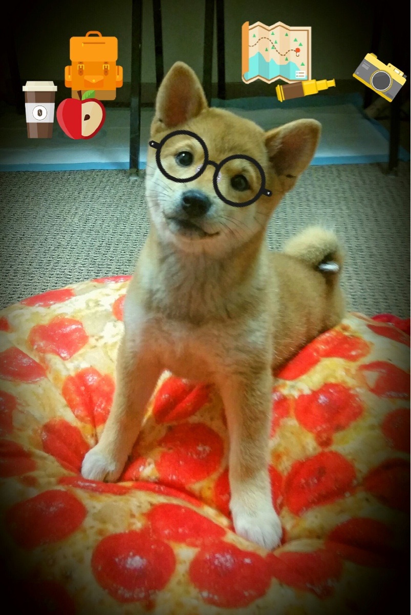 战术博弈下的双重奏，加克波持续制造杀伤，法国正面击溃希腊的现代足球启示